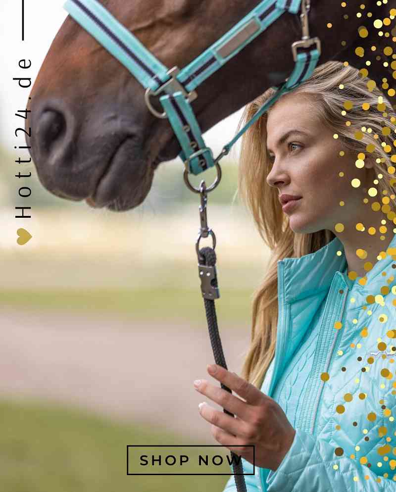 hv polo pferde halfter classic stripe 1601093501-5269 tuerkis