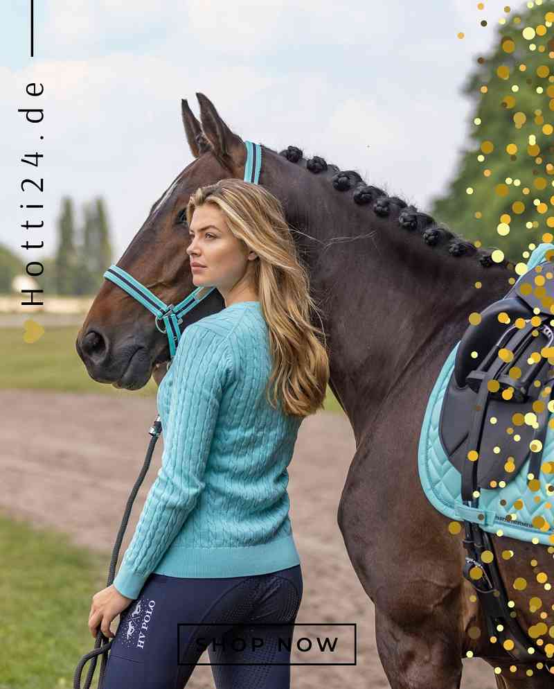 hv polo pferde halfter classic stripe 1601093501-5269 tuerkis