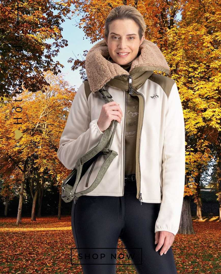 HV POLO »Halfter HVPFrancis