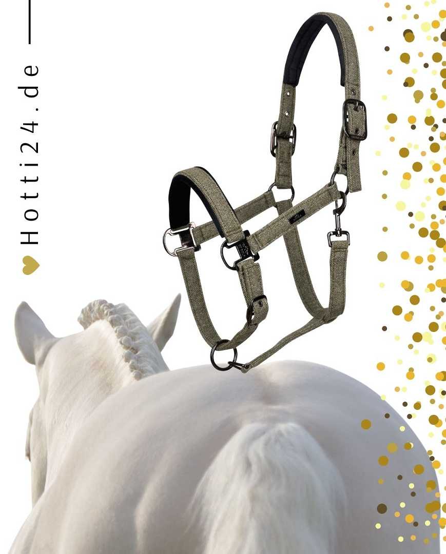 HV POLO »Halfter HVPFrancis