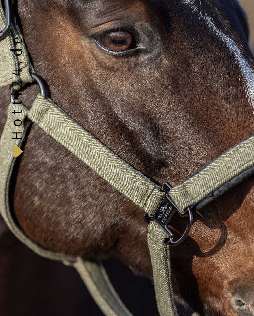 HV POLO »Halfter HVPFrancis