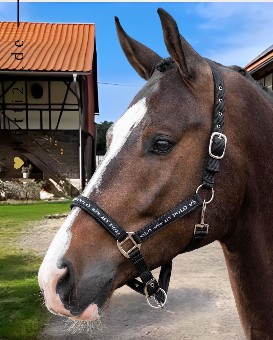 hv-polo-pferde-halfter-hvpnena-1601093600-9000-schwarz-kaufen-www.hotti24.de