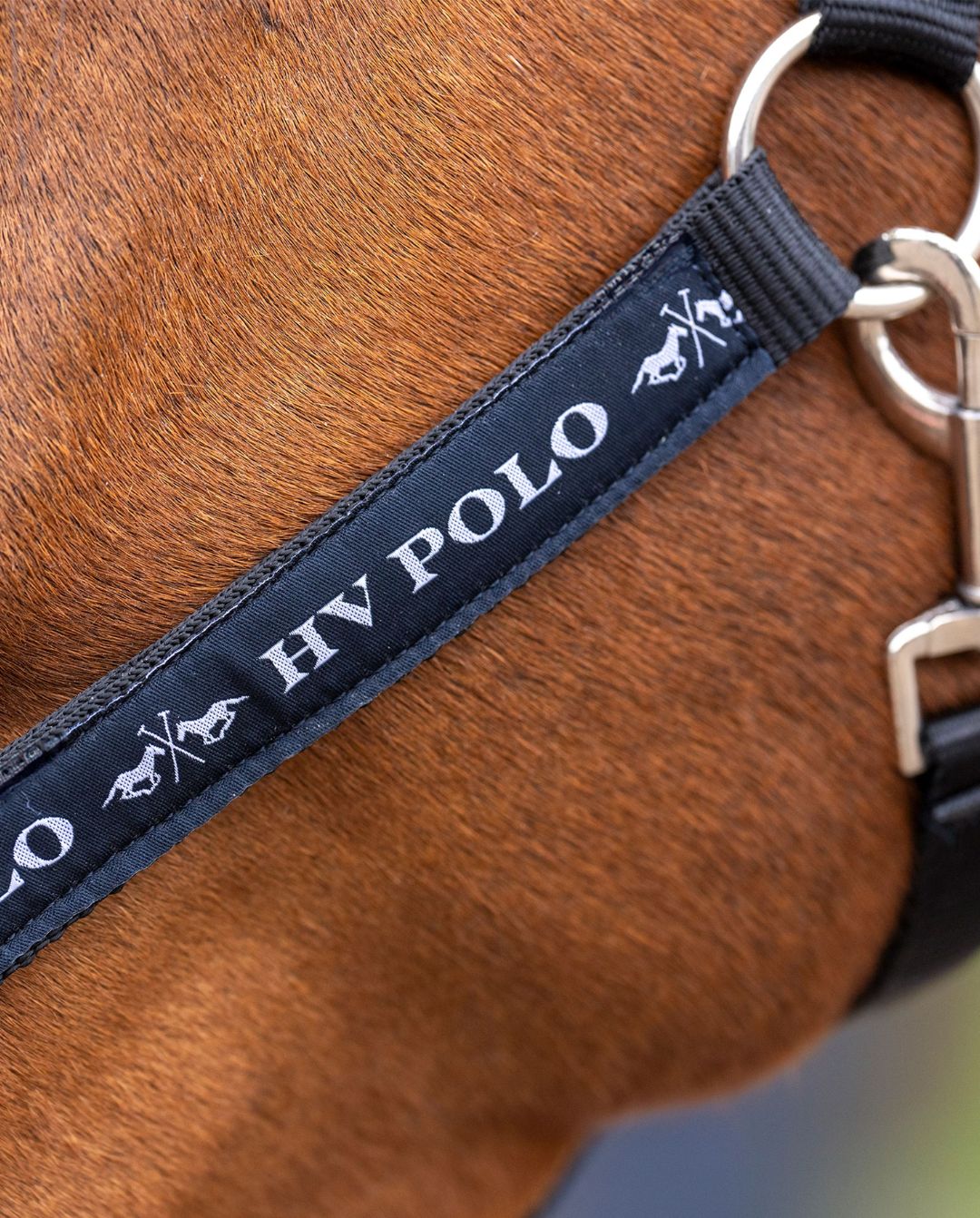 HV Polo »Halfter HVPNena Black