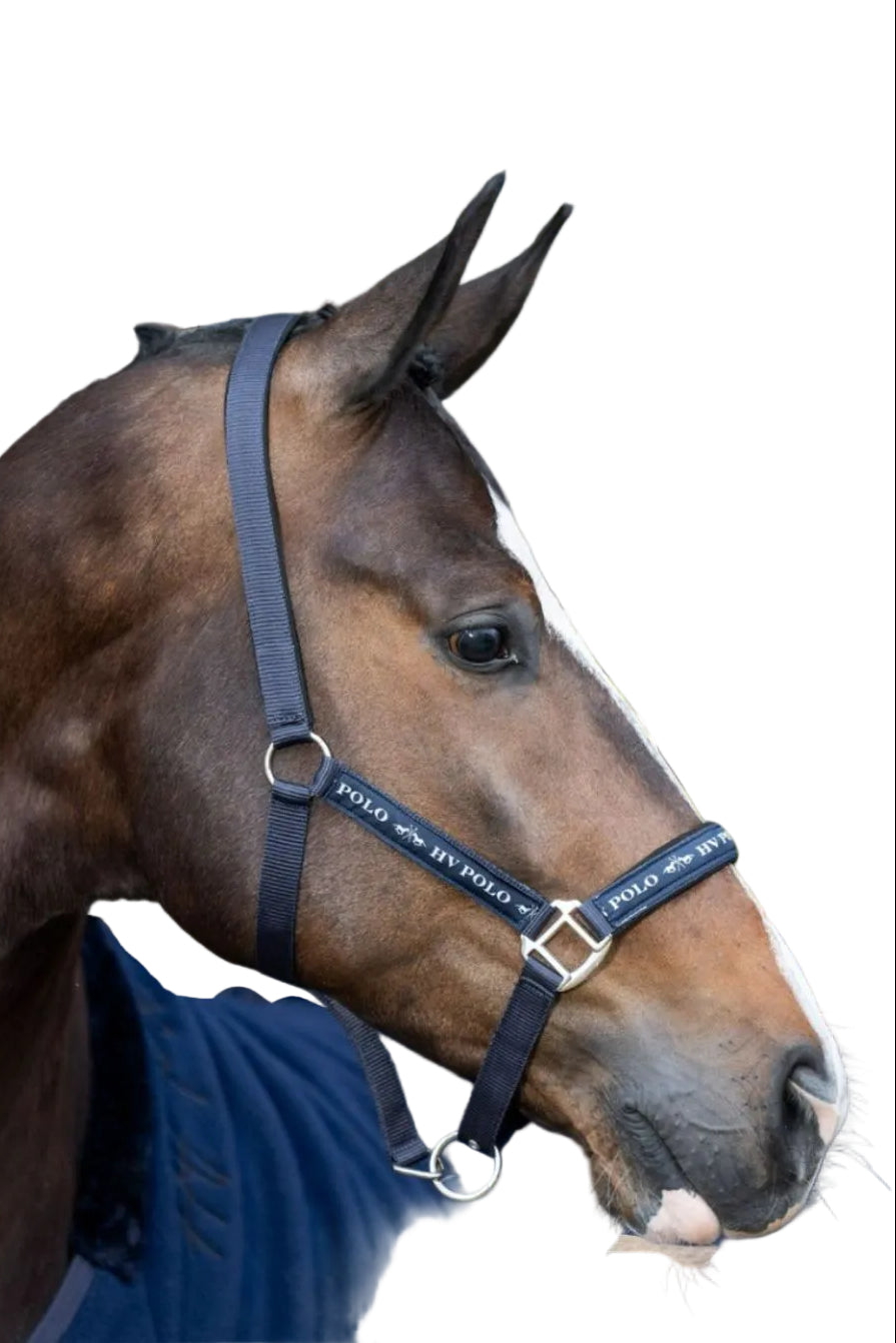 hv-polo-pferde-halfter-hvpnena-1601093600-5001-blau-kaufen-www.hotti24.de
