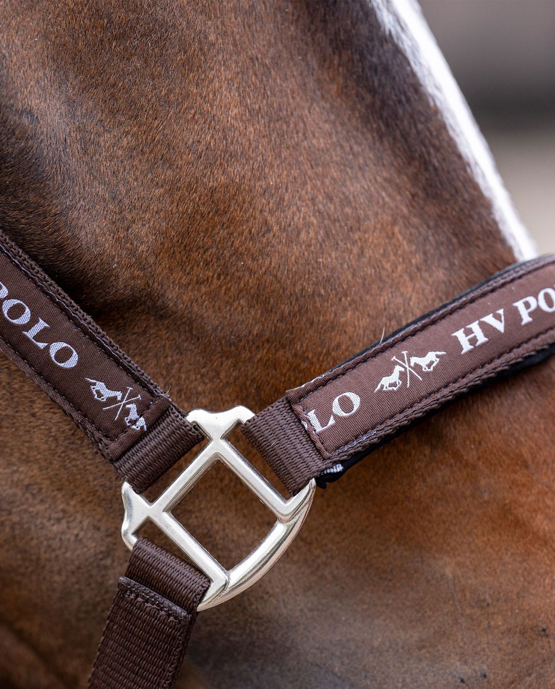 HV Polo »Halfter HVPNena Brown