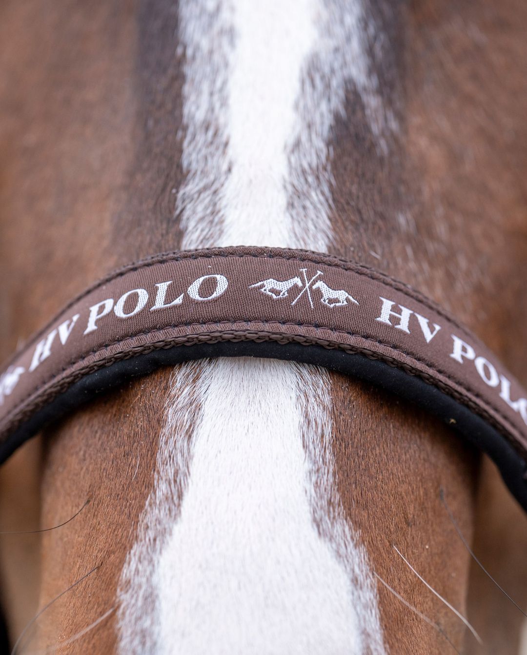 HV Polo »Halfter HVPNena Brown