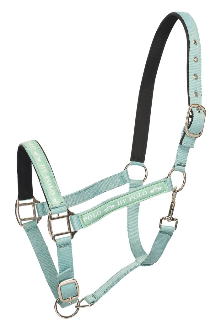 hv-polo-pferde-halfter-hvpnena-aqua-sky