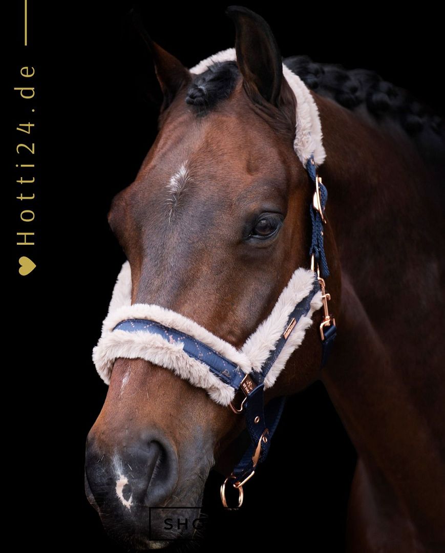 Die vorliegende Datei enthält Informationen über das HV POLO Pferde Halfter "Welmoed Shine" in der Farbe Blau mit der Artikelnummer 1601093452-5001. Dieses Halfter wurde speziell für Pferde entwickelt, um ihnen Komfort und Stil zu bieten. Sie können dieses Pferde Halfter auf der Website www.Hotti24.de erwerben.