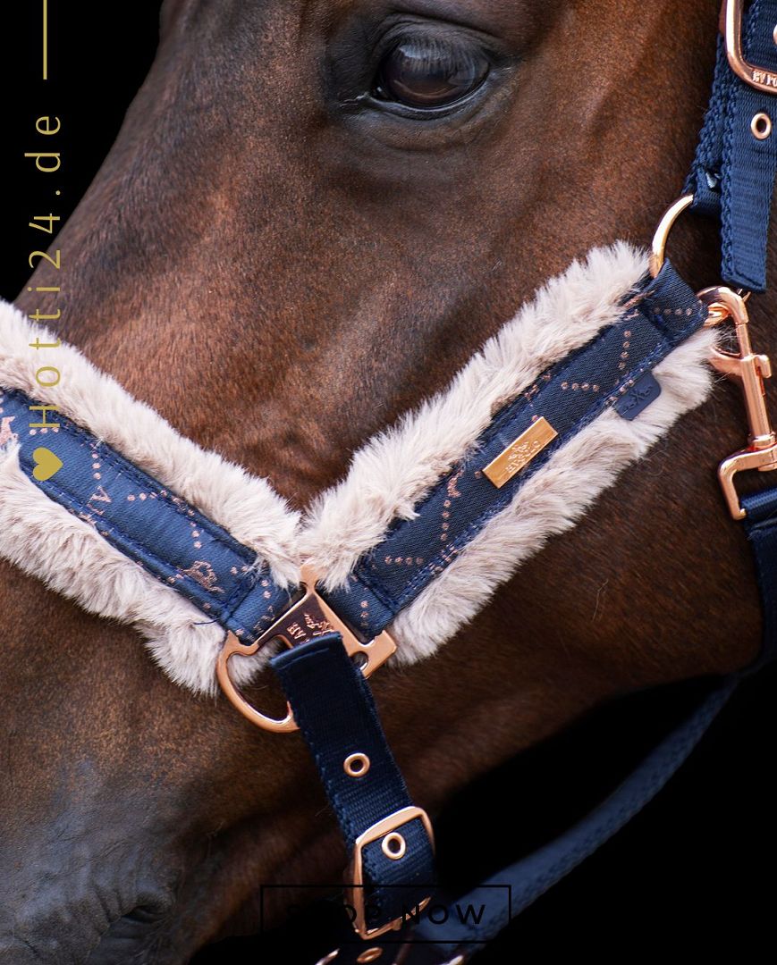 Die vorliegende Datei enthält Informationen über das HV POLO Pferde Halfter "Welmoed Shine" in der Farbe Blau mit der Artikelnummer 1601093452-5001. Dieses Halfter wurde speziell für Pferde entwickelt, um ihnen Komfort und Stil zu bieten. Sie können dieses Pferde Halfter auf der Website www.Hotti24.de erwerben.