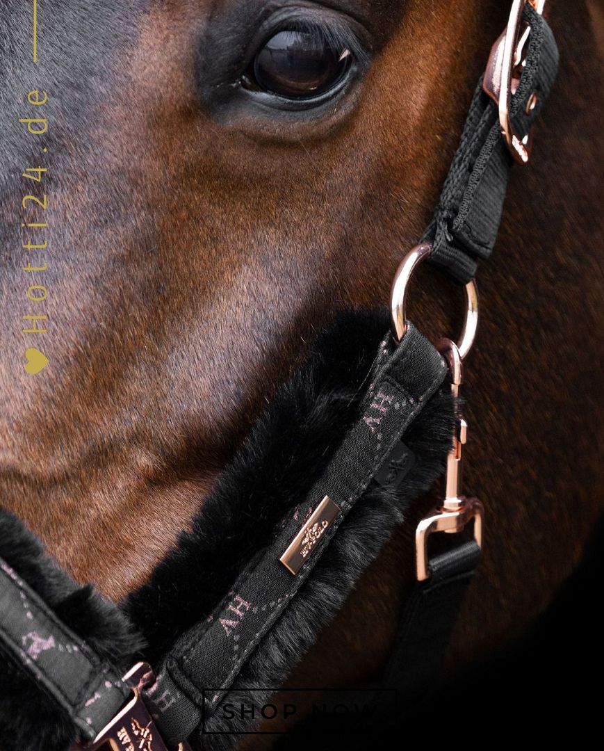 Die vorliegende Datei enthält Informationen über das HV POLO Pferde Halfter "Welmoed Shine" in der Farbe Schwarz mit der Artikelnummer 1601093452-9584. Dieses Halfter wurde speziell für Pferde entwickelt, um ihnen Komfort und Stil zu bieten. Sie können dieses Pferde Halfter auf der Website www.Hotti24.de erwerben.