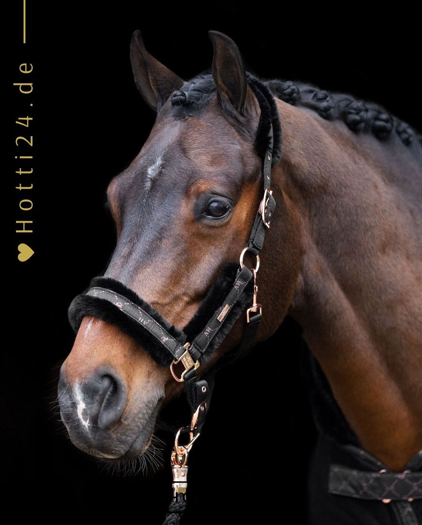 Die vorliegende Datei enthält Informationen über das HV POLO Pferde Halfter "Welmoed Shine" in der Farbe Schwarz mit der Artikelnummer 1601093452-9584. Dieses Halfter wurde speziell für Pferde entwickelt, um ihnen Komfort und Stil zu bieten. Sie können dieses Pferde Halfter auf der Website www.Hotti24.de erwerben.