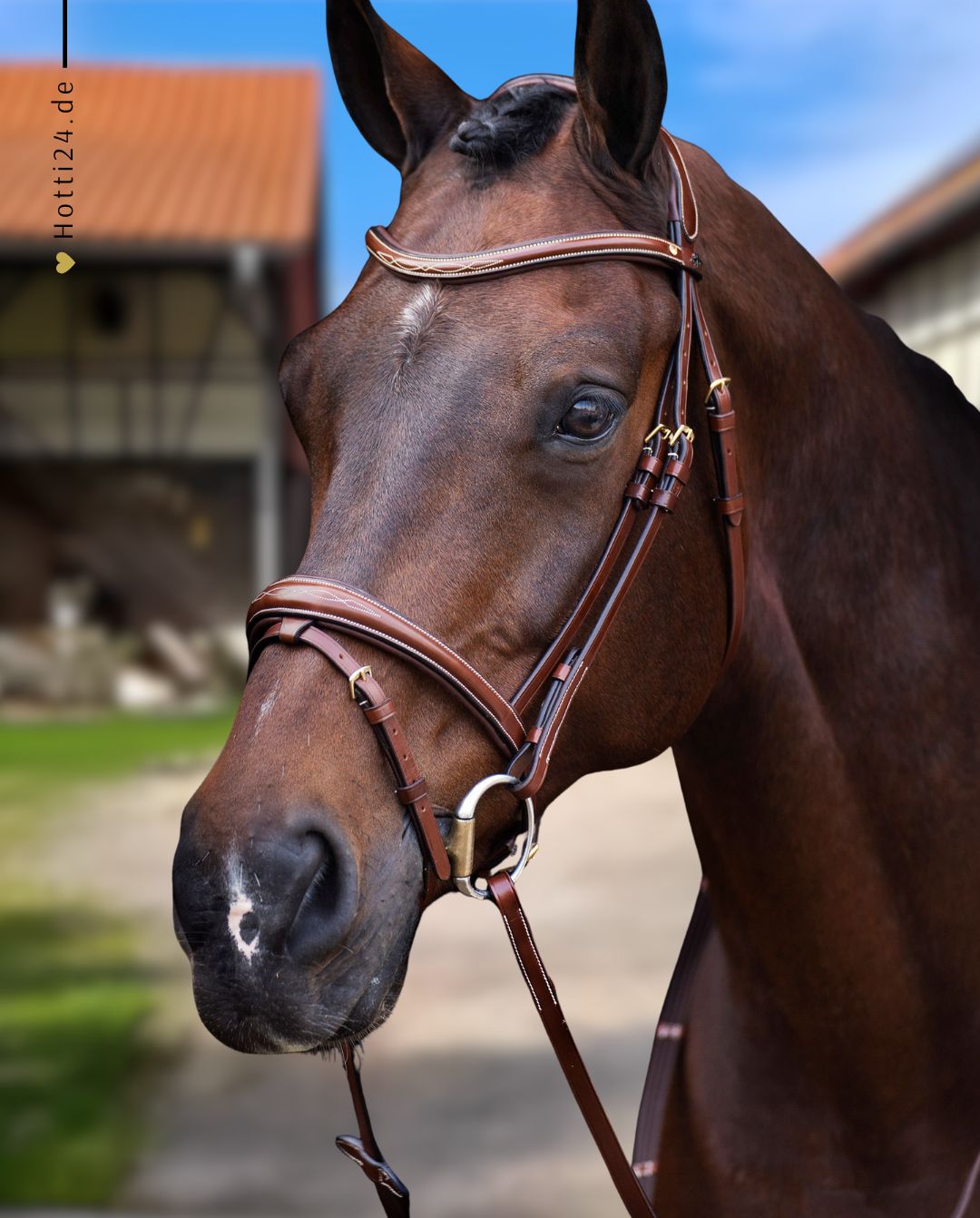 HV POLO »Trense HVPLegacy Brown