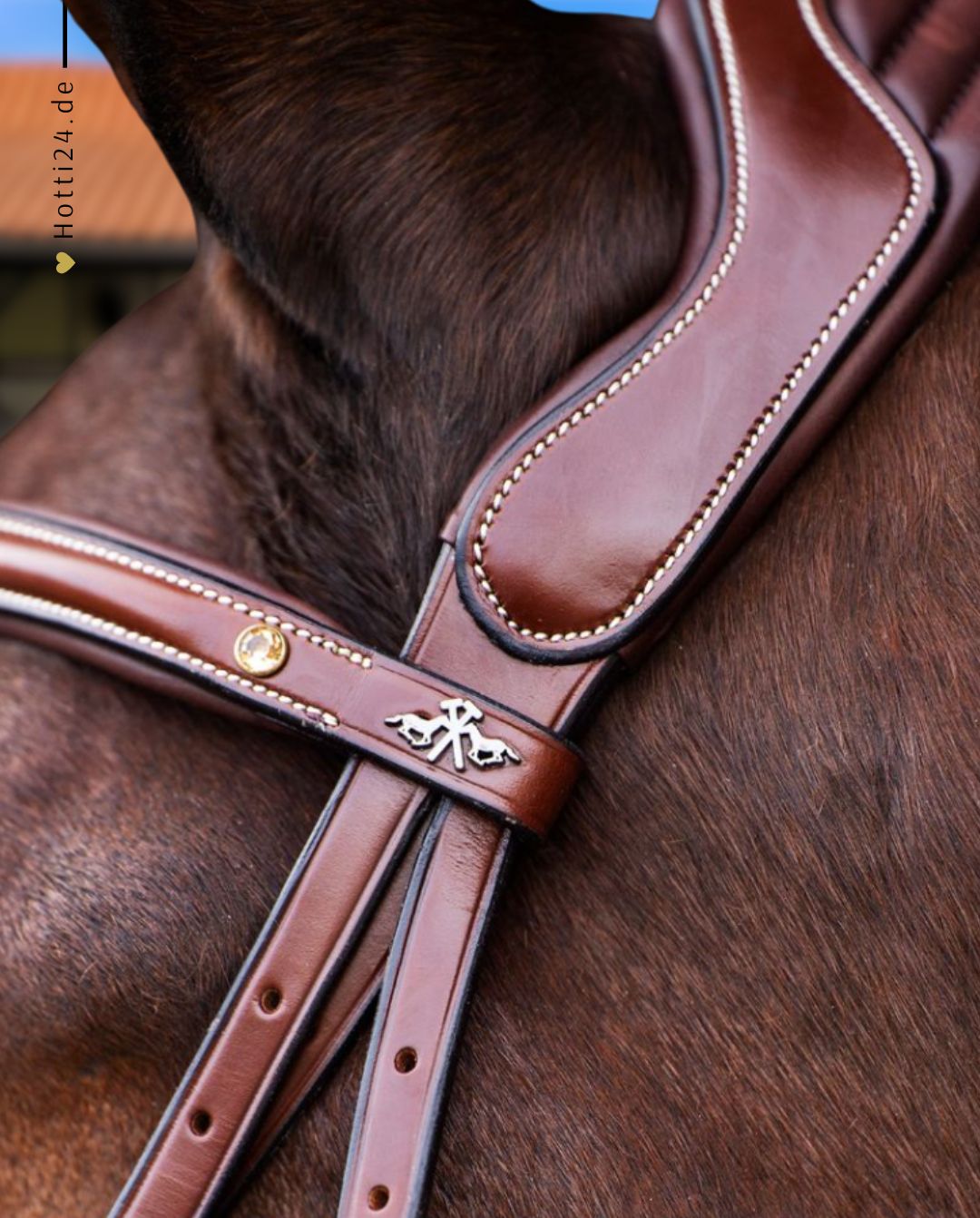 HV POLO »Trense HVPLegacy Brown