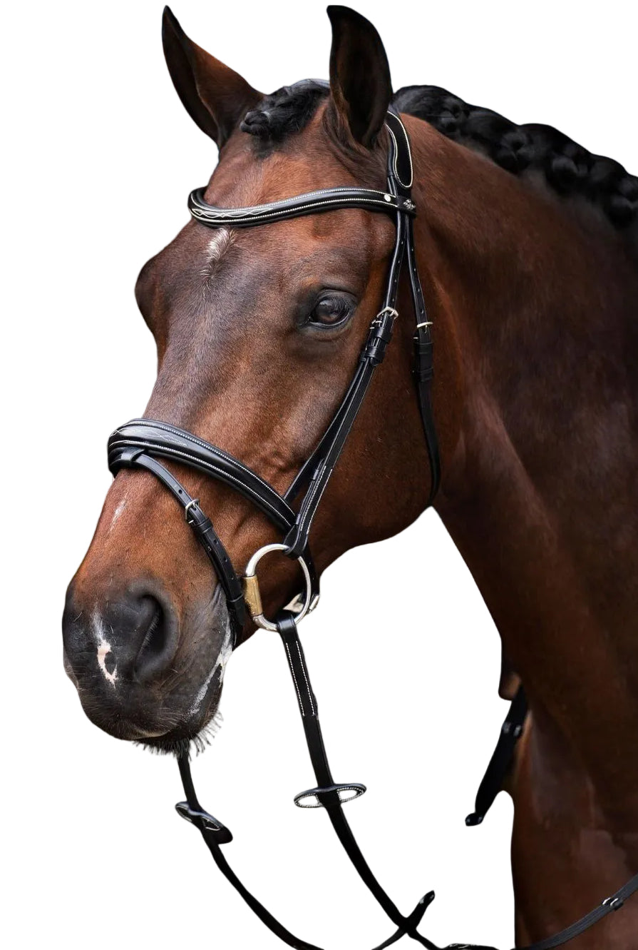 HV POLO »Bridle HVPLegacy Black