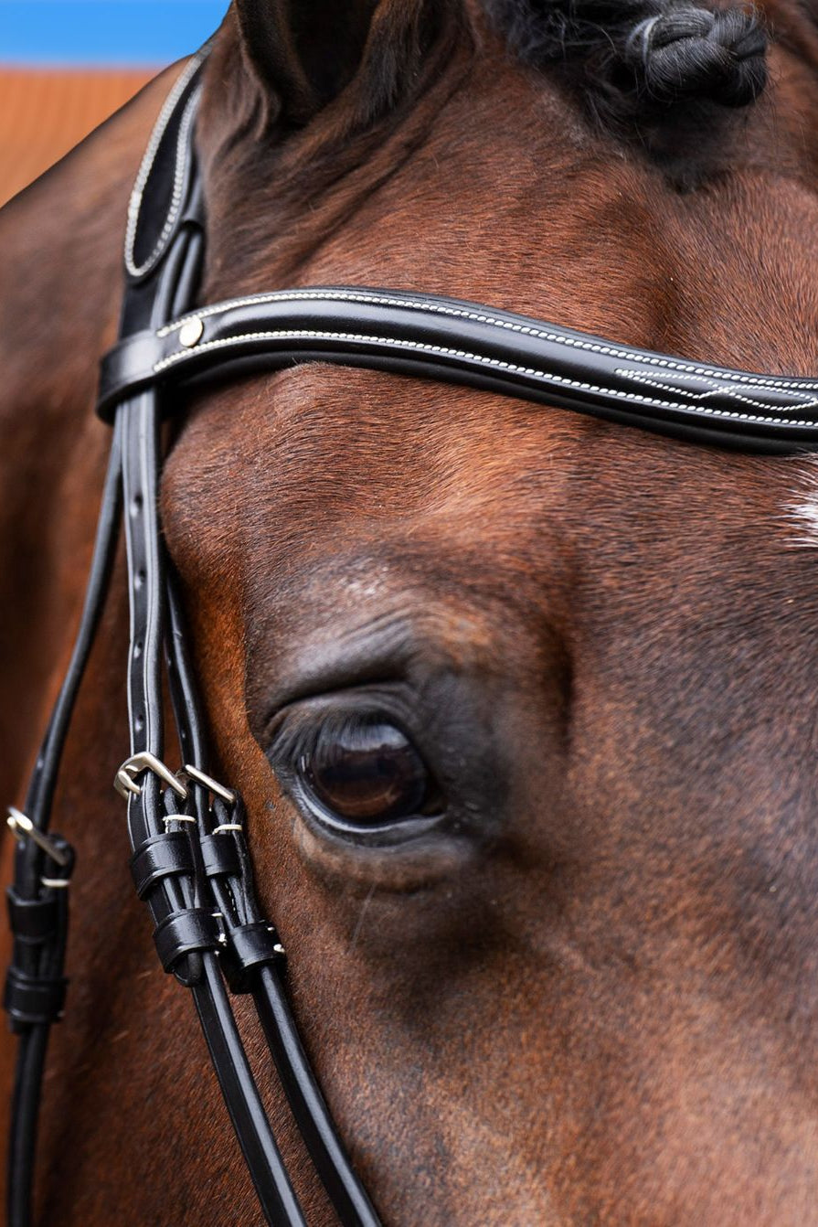 HV POLO »Bridle HVPLegacy Black
