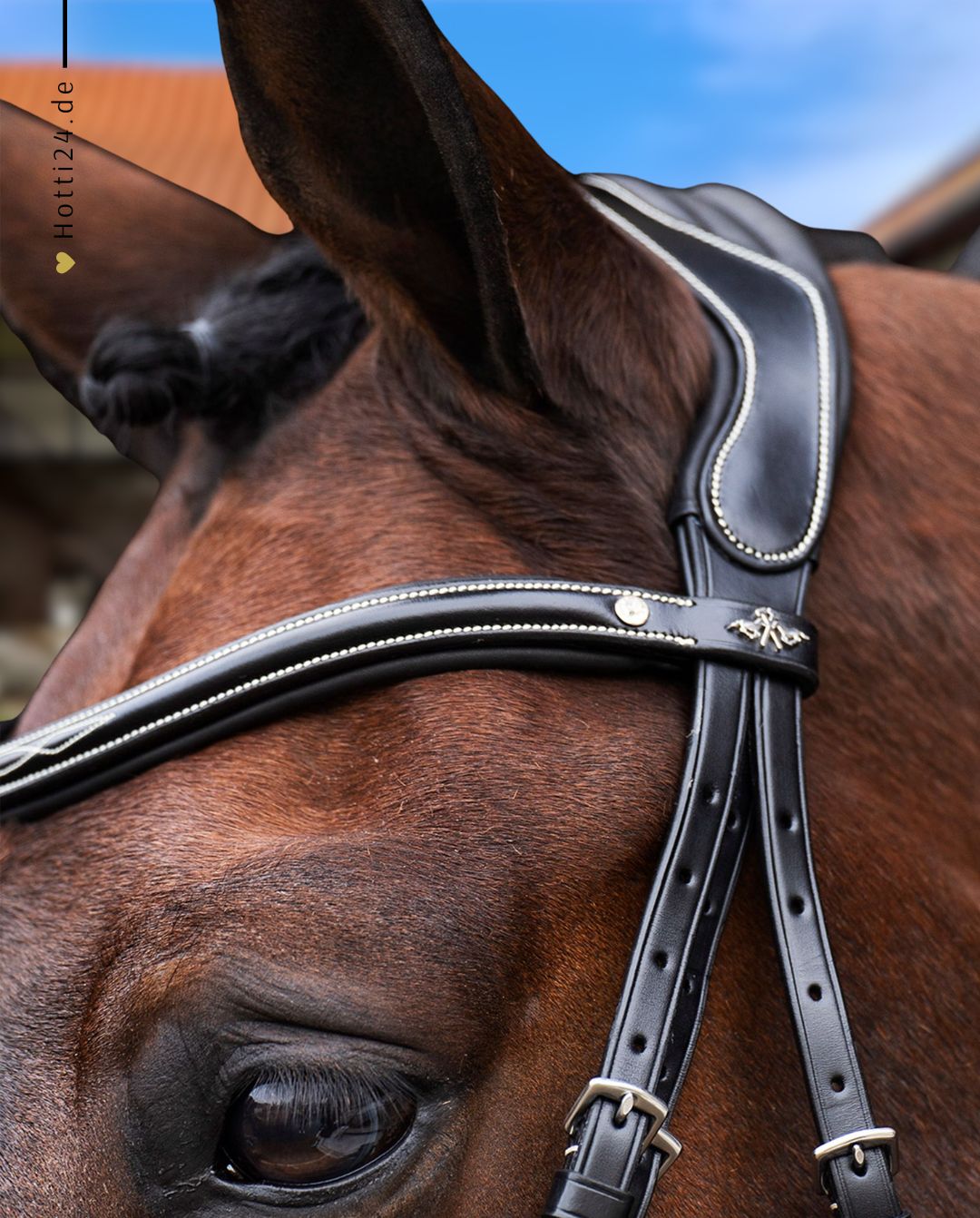 HV POLO »Bridle HVPLegacy Black