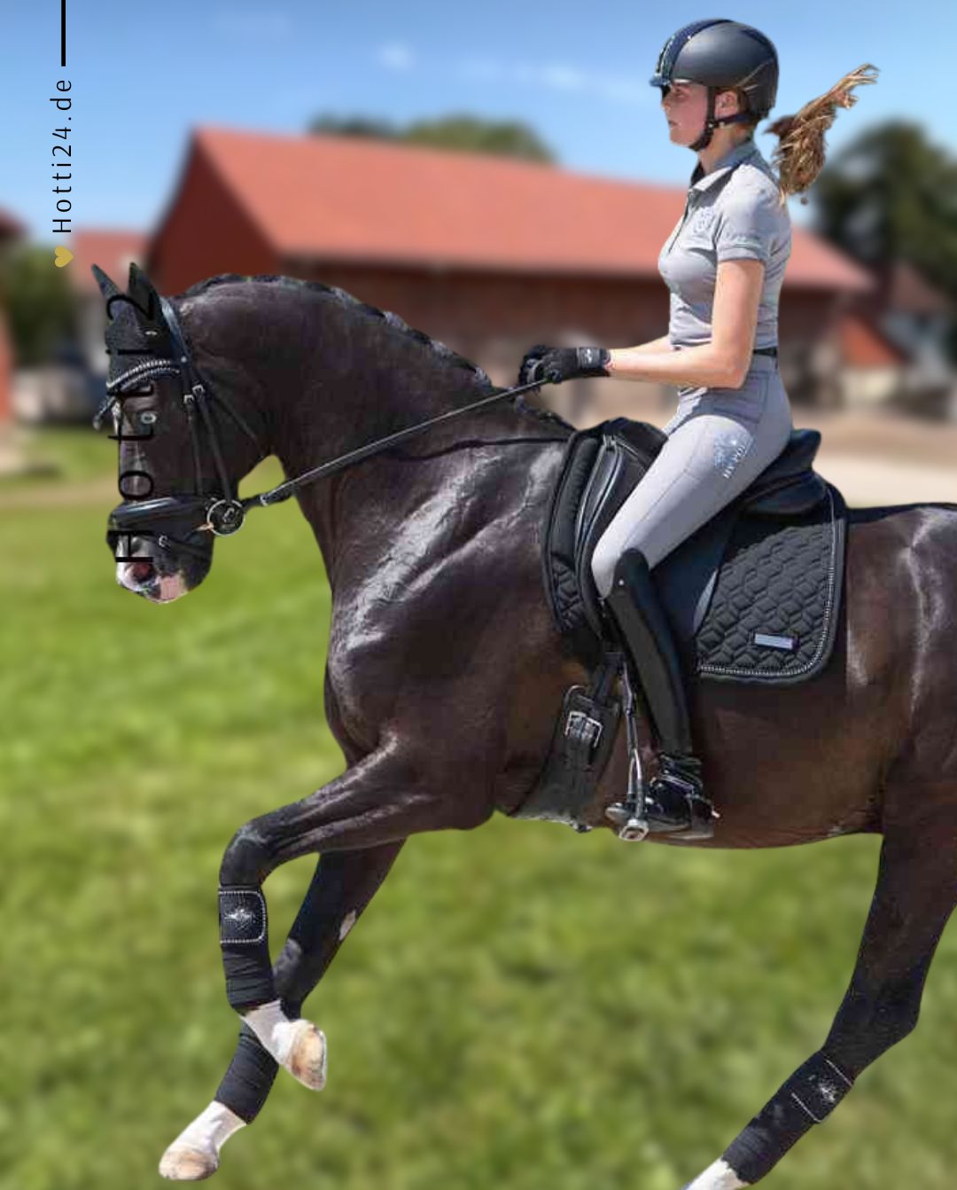 HV POLO »Wickelbandagen HVPClassic 4er Set Black