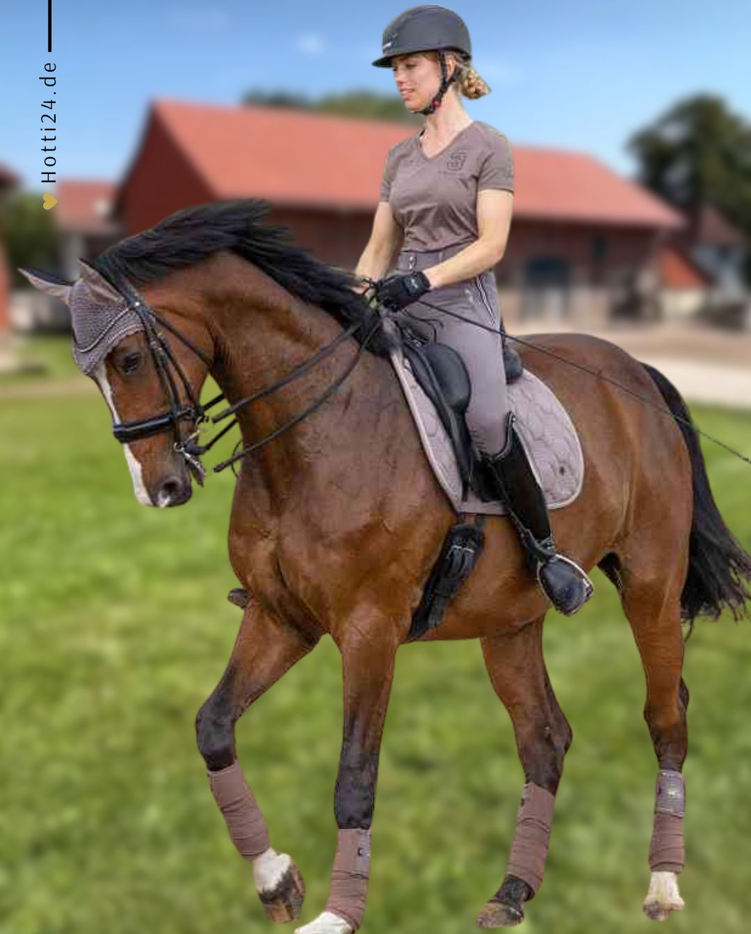 HV POLO »Wickelbandagen HVPClassic 4er Set Espresso