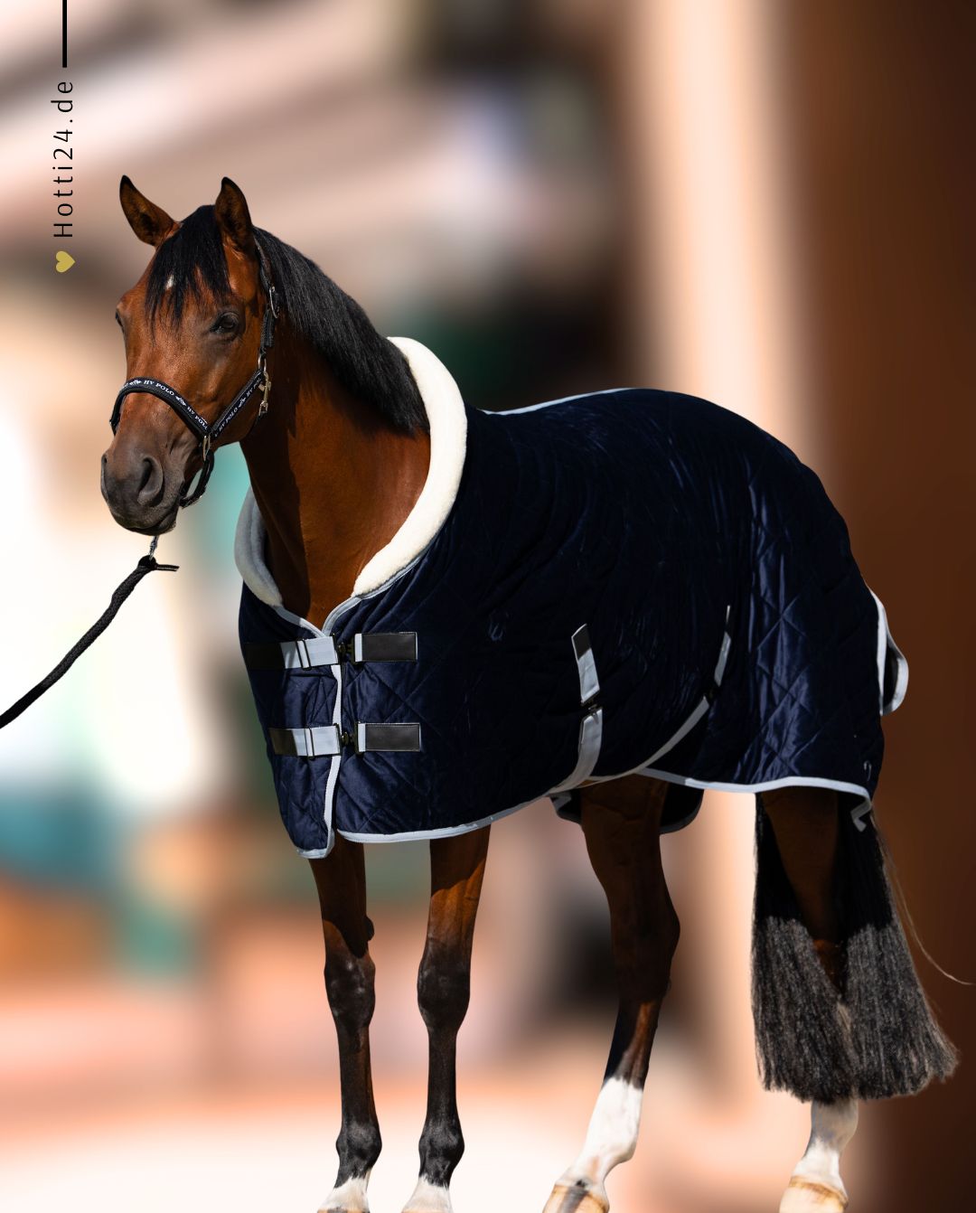 hv-polo-stalldecke-hvpsacha-navy-2404493750-5001-kaufen-www.hotti24.de