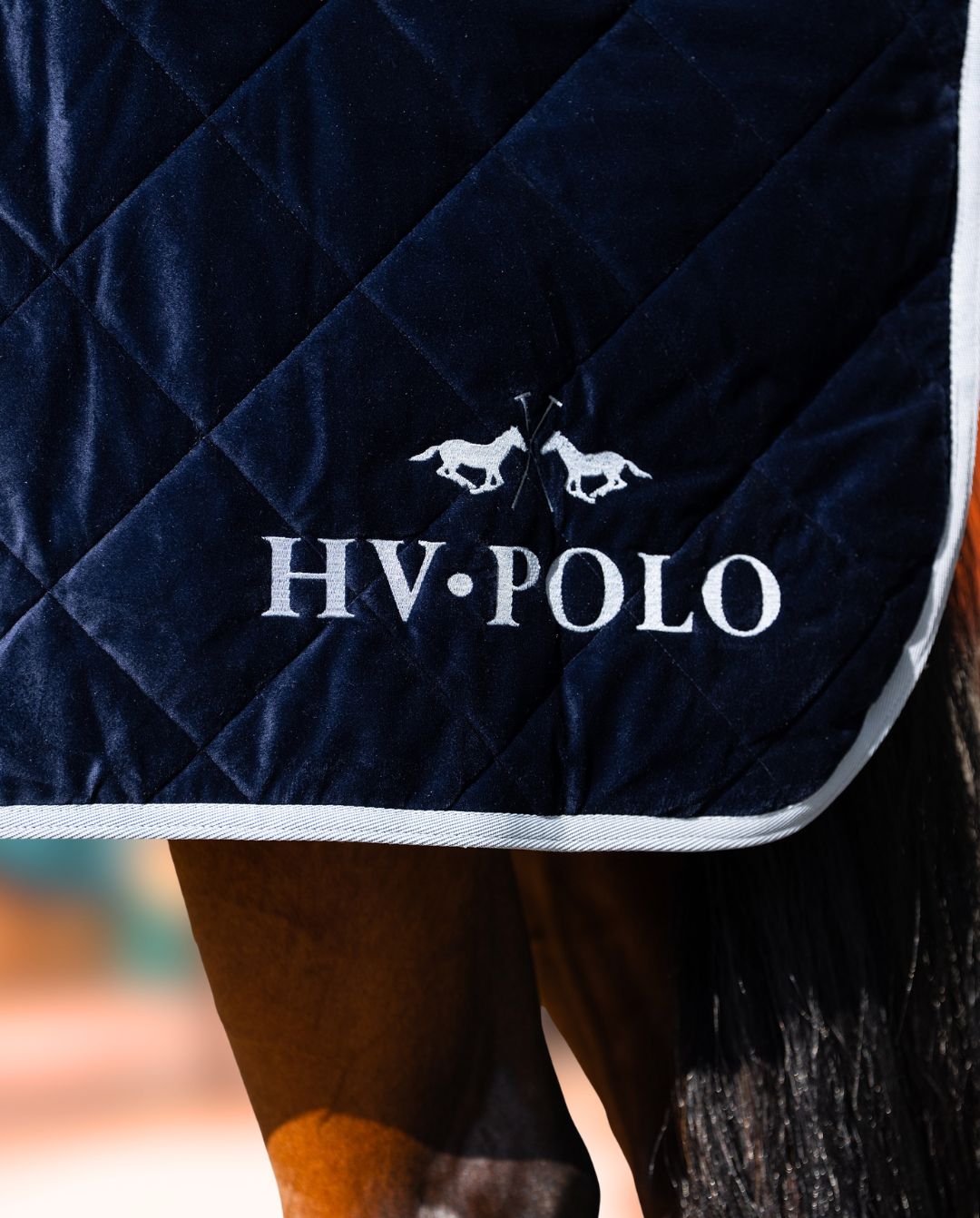 HV Polo Stalldecke HVPSacha Navy
