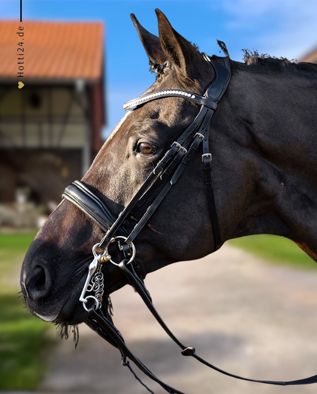 HV POLO »Kandarenzaum HVPLegacy de Luxe Black