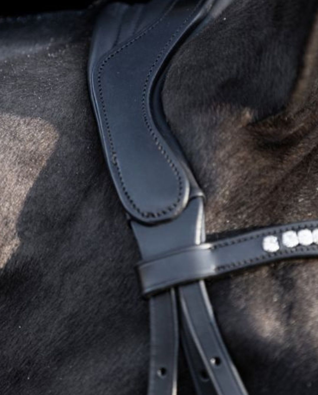 HV POLO »Trense Weymouth HVPLegacy Deluxe Black