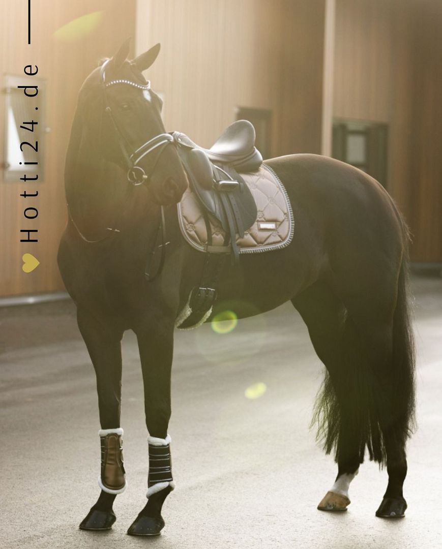 Imperial Riding präsentiert die Dressurschabracke IRH Lovely in der Farbe Braun mit der Artikelnummer ZT78122000-8043. Diese Dressurschabracke vereint Stil und Funktionalität und eignet sich ideal für Dressuraktivitäten. Für weitere Informationen und die Möglichkeit zum Kauf besuchen Sie bitte die Website www.Hotti24.de