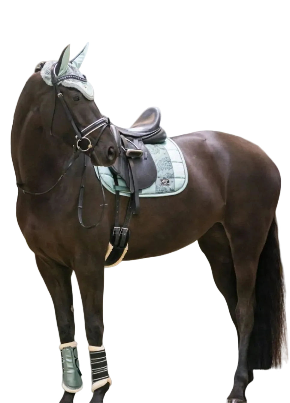 Imperial Riding Gamaschen IRHLovely Sage Green