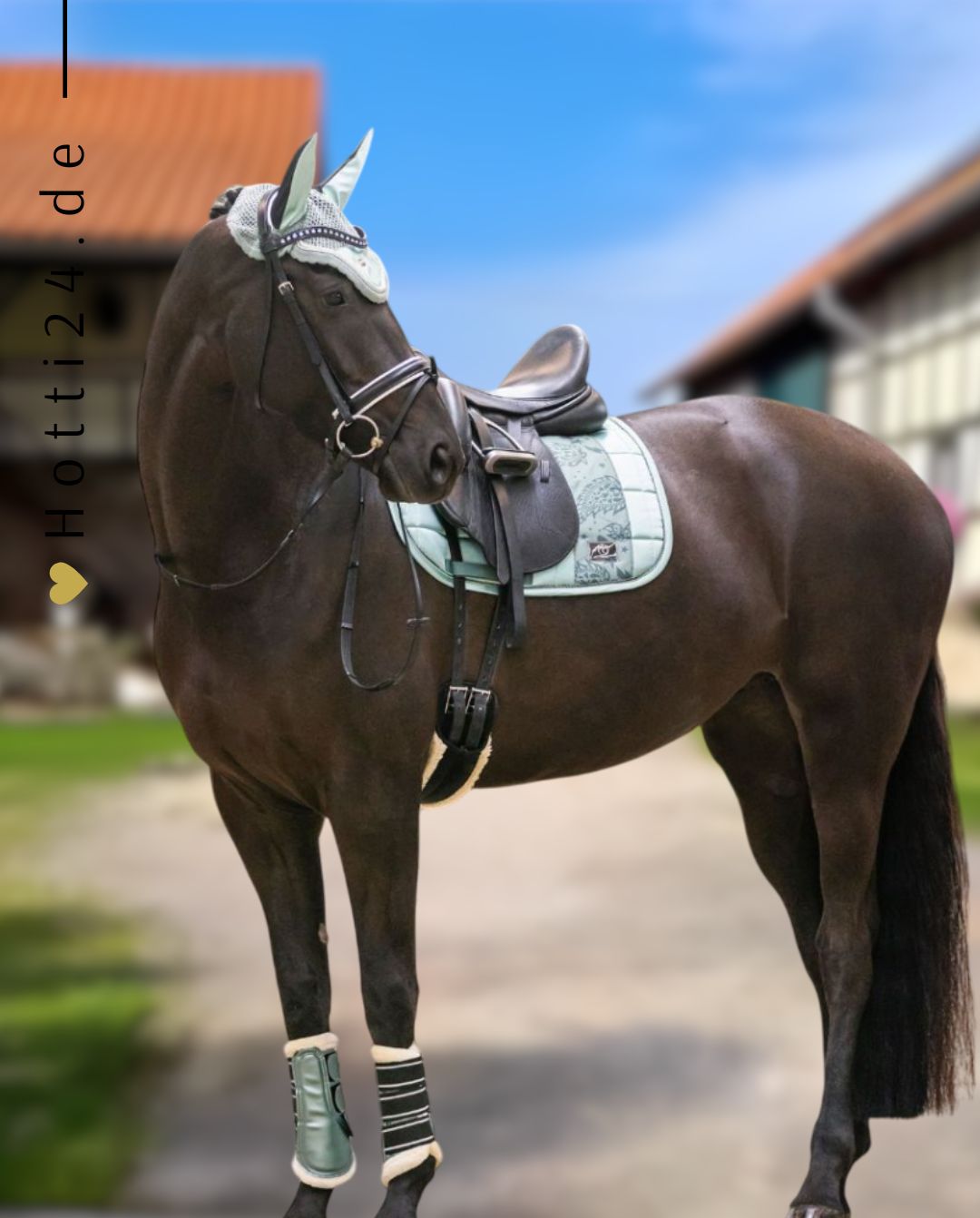 IMPERIAL RIDING »Leg Protectors IRHLovely Green