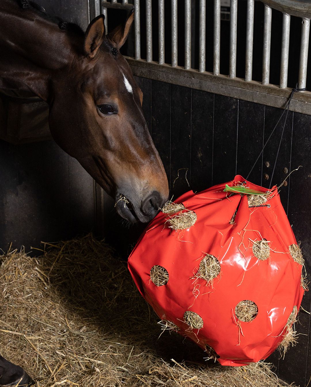 IMPERIAL RIDING »Heusack IRHApple Red