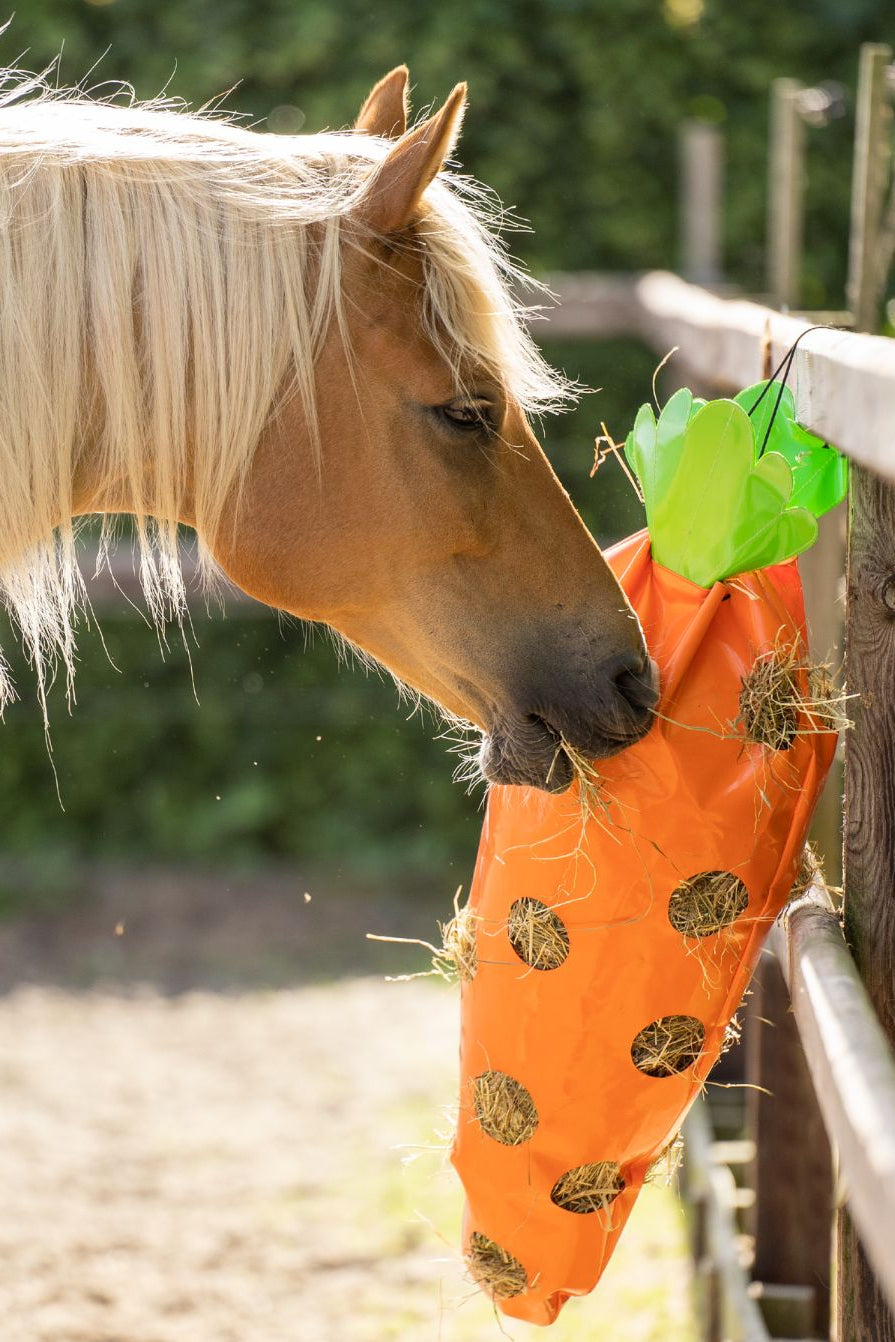 IMPERIAL RIDING »Hay Bag IRHCarrot Orange