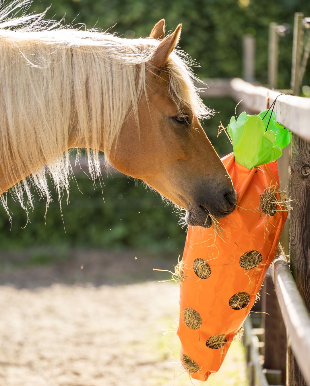 IMPERIAL RIDING »Hay Bag IRHCarrot Orange