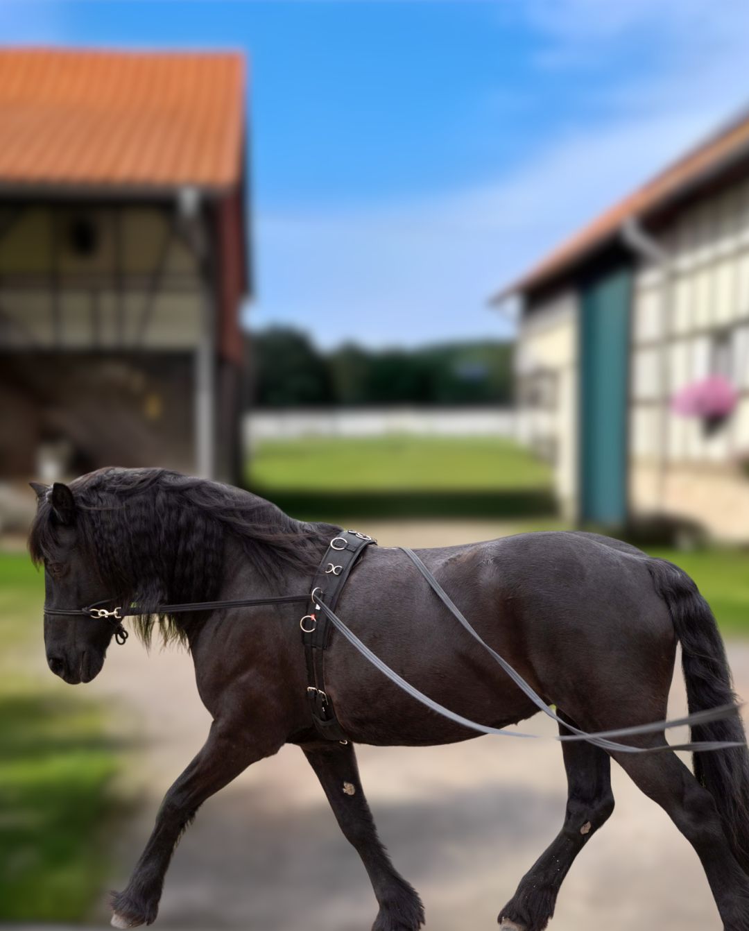 IMPERIAL RIDING »Lange Zügel IRHFree Ride Black