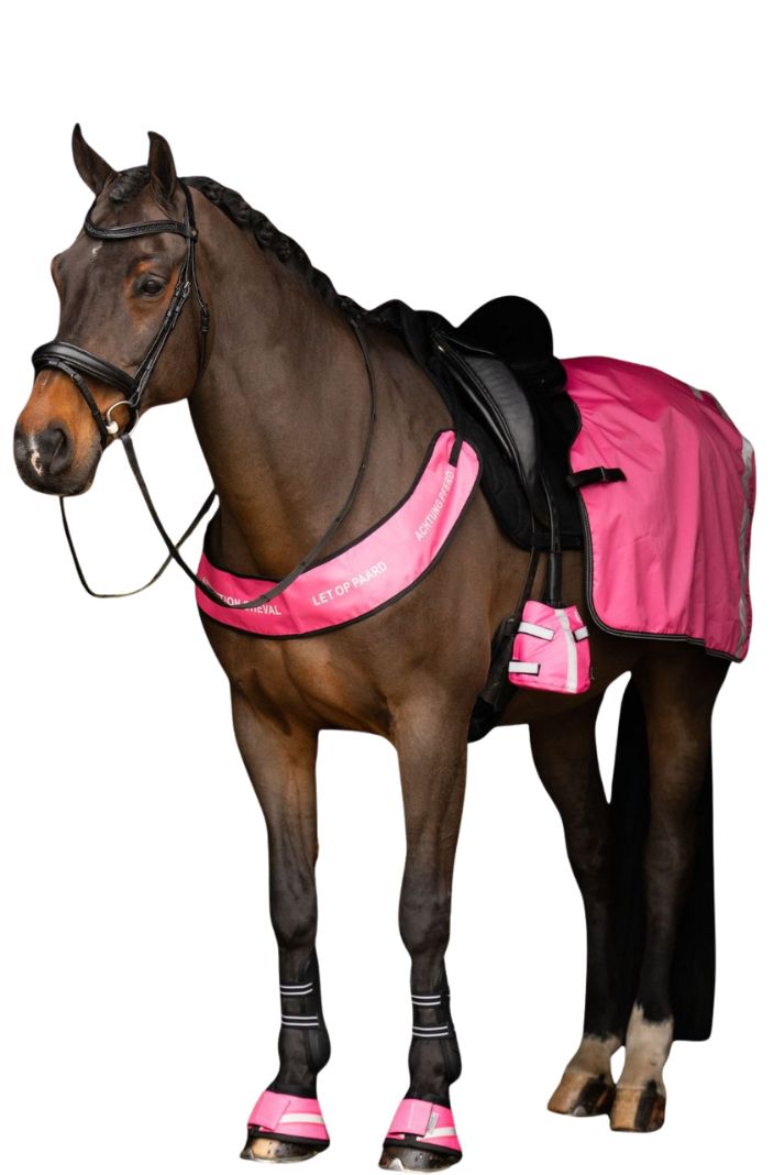 Imperial Riding Reflex Ausreitdecke IRHReflective Pink