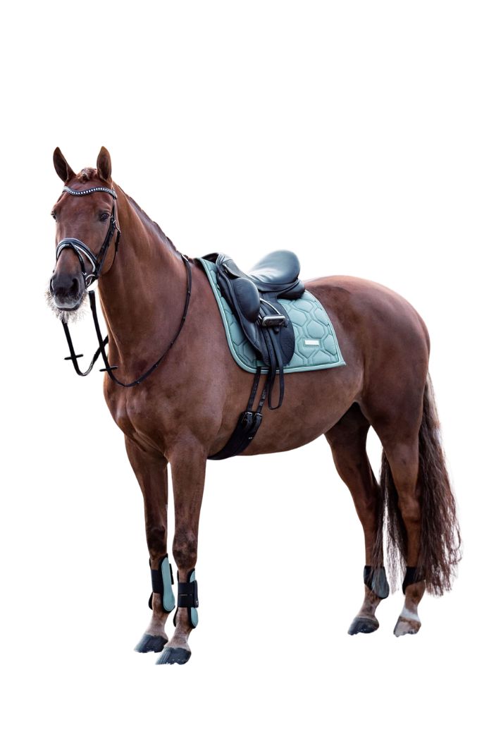 Imperial Riding Gamaschen 2er Set IRHLovely Sage Green