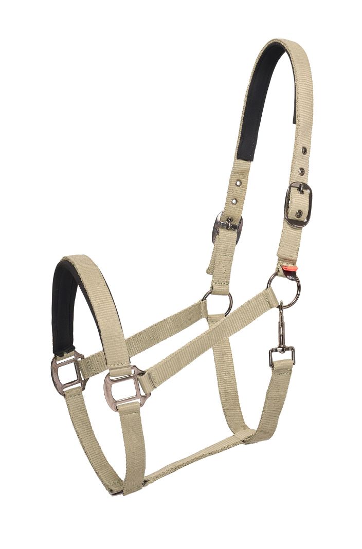 imperial-riding-pferde-halfter-irhclassic-sport-light-olive