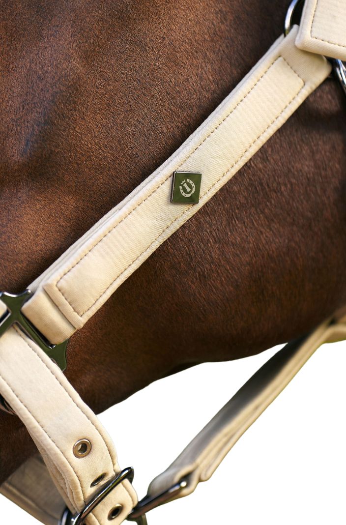 Imperial Riding Headcollar IRHJewel Mesh Light Olive