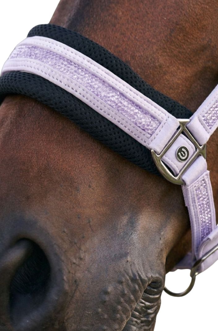 Imperial Riding Headcollar IRHJewel Mesh Wisteria