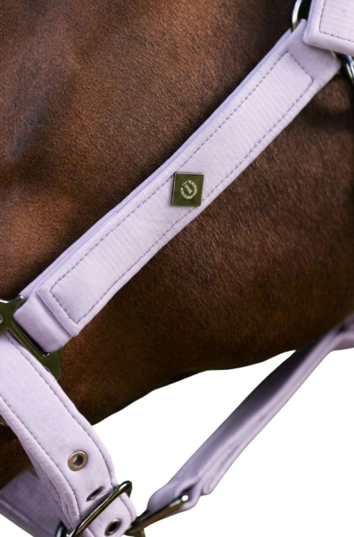 Imperial Riding Headcollar IRHJewel Mesh Wisteria