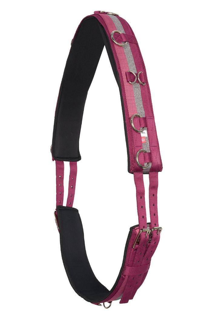 imperial-riding-pferde-longiergurt-irhdeluxe-rose-bordeaux-silber