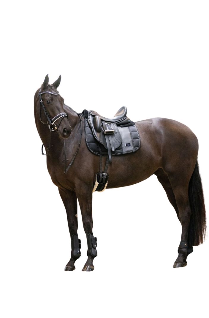 Imperial Riding Streichkappen IRHLovely Schwarz