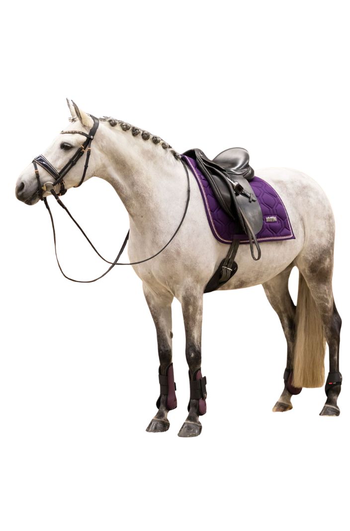 Imperial Riding Gamaschen 2er Set IRHLovely Berry