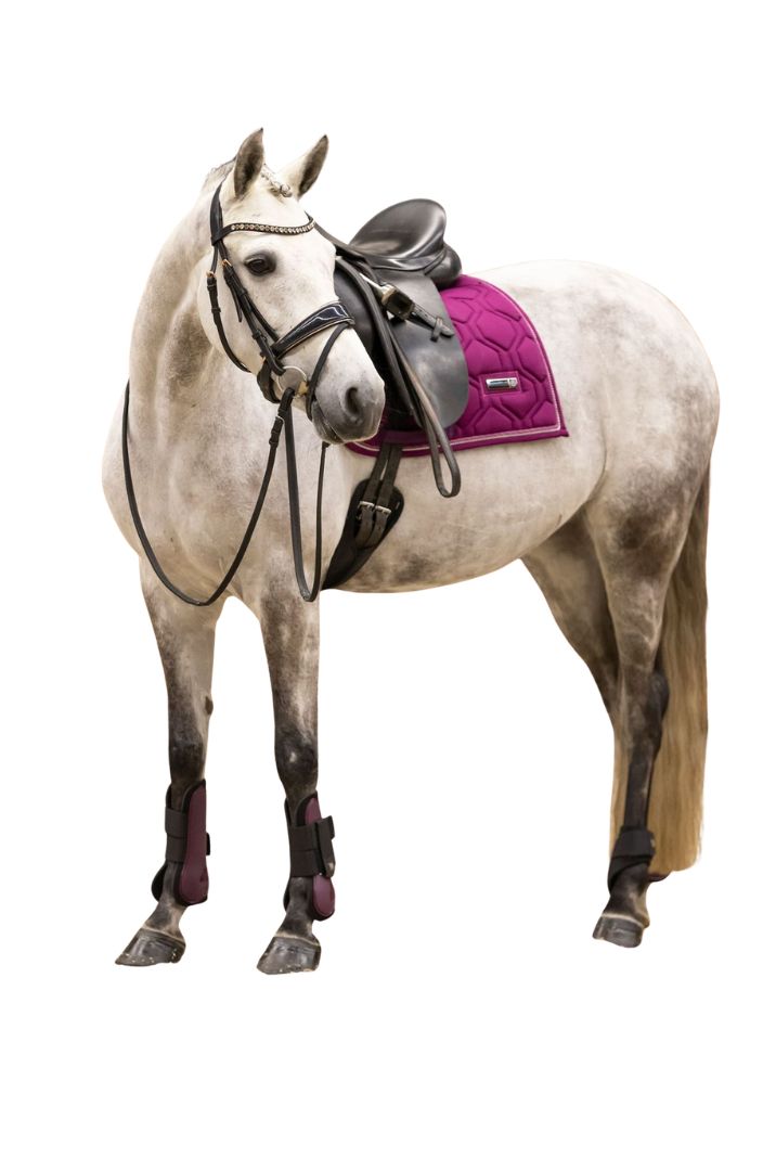 Imperial Riding Tendon Boots Set of 2 IRHLovely Flower