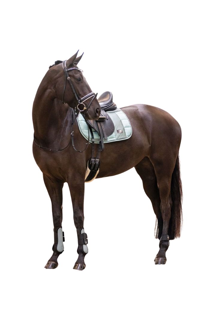 Imperial Riding Streichkappen IRHLovely Sage Green