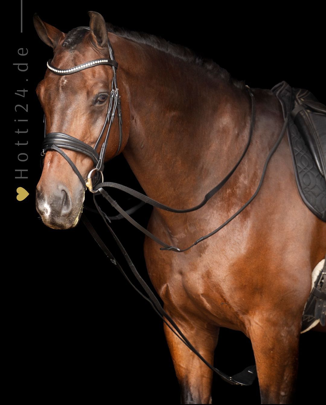 imperial-riding-pferde-zuegel-irhcore-te76223000-9000-schwarz-kaufen-www.hotti24.de