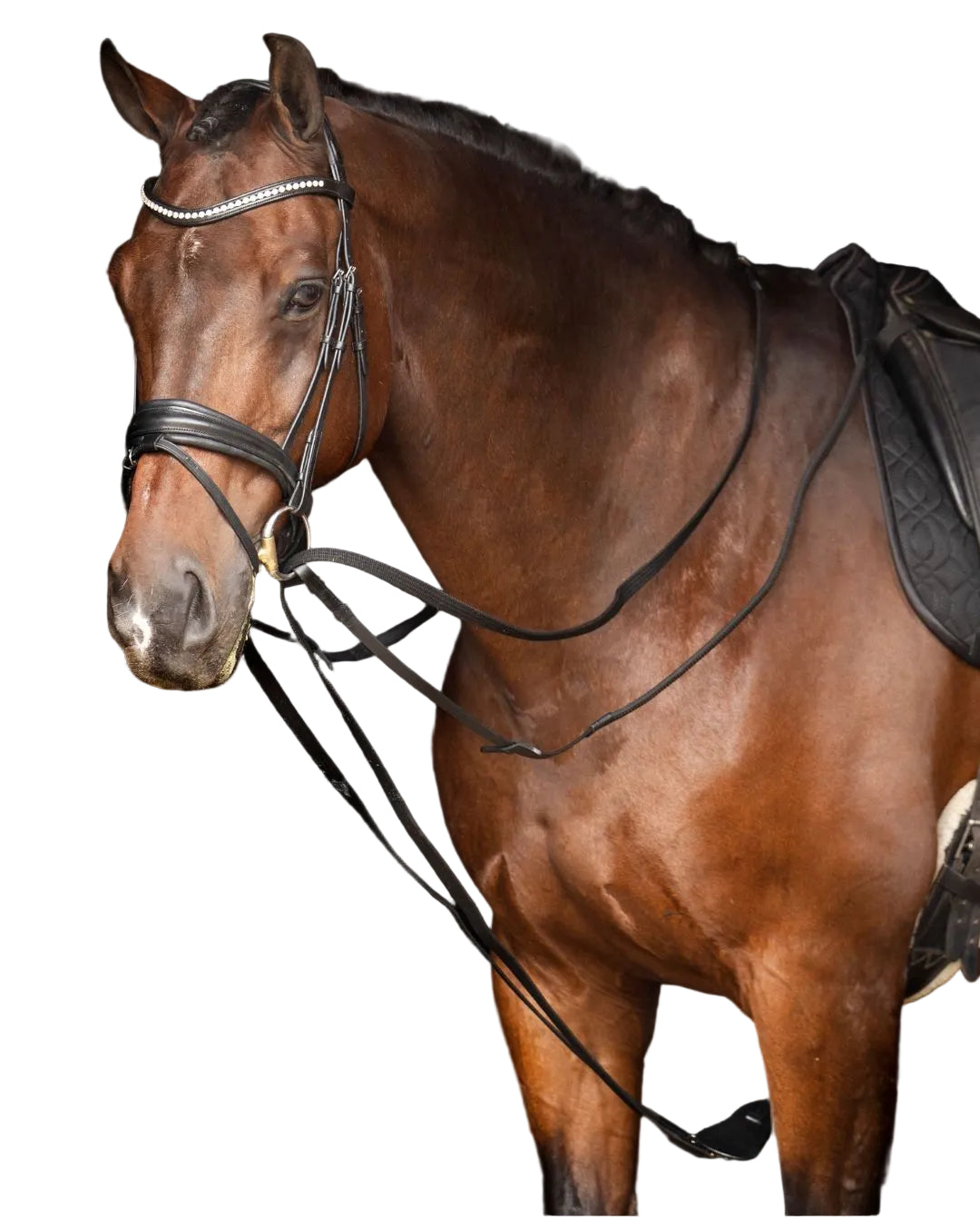 imperial-riding-pferde-zuegel-irhcore-te76223000-9000-schwarz-kaufen-www.hotti24.de