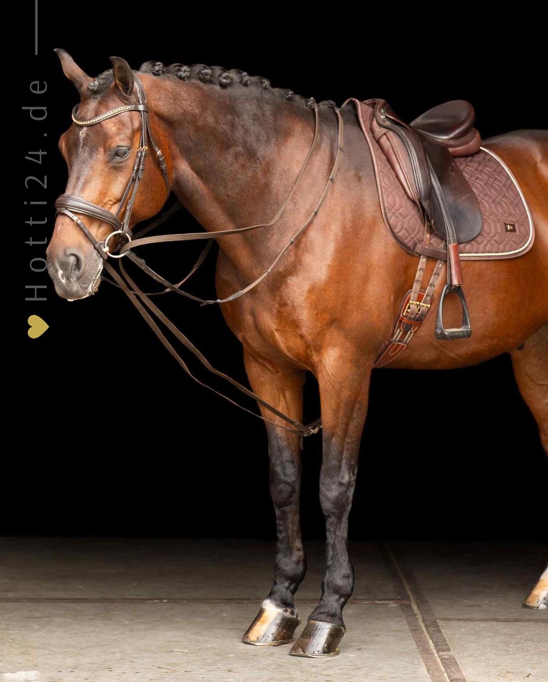 imperial-riding-pferde-zugel-irhcore-te76223000-8000-braun-kaufen-www.hotti24.de