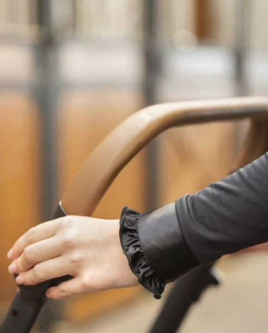 Imperial Riding »Sattelwagen IRHCarry Light Chocolate