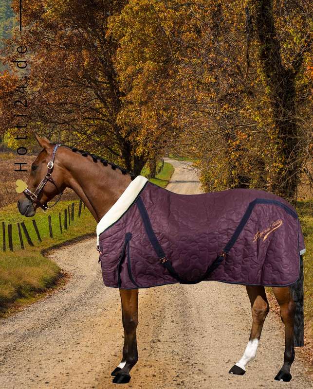 Die Imperial Riding Stalldecke "Super Dry" in Bordeaux mit der Artikelnummer DE30321000-3003 ist bei www.Hotti24.de erhältlich. Diese Stalldecke von Imperial Riding bietet Ihrem Pferd Schutz und Komfort während seiner Stallzeit. Die marineblaue Farbe verleiht der Decke ein klassisches Aussehen und sie ist aus hochwertigen Materialien gefertigt, die für Strapazierfähigkeit und Langlebigkeit sorgen. Besuchen Sie www.Hotti24.de, um weitere Informationen über diese Stalldecke zu erhalten oder sie zu erwerben.