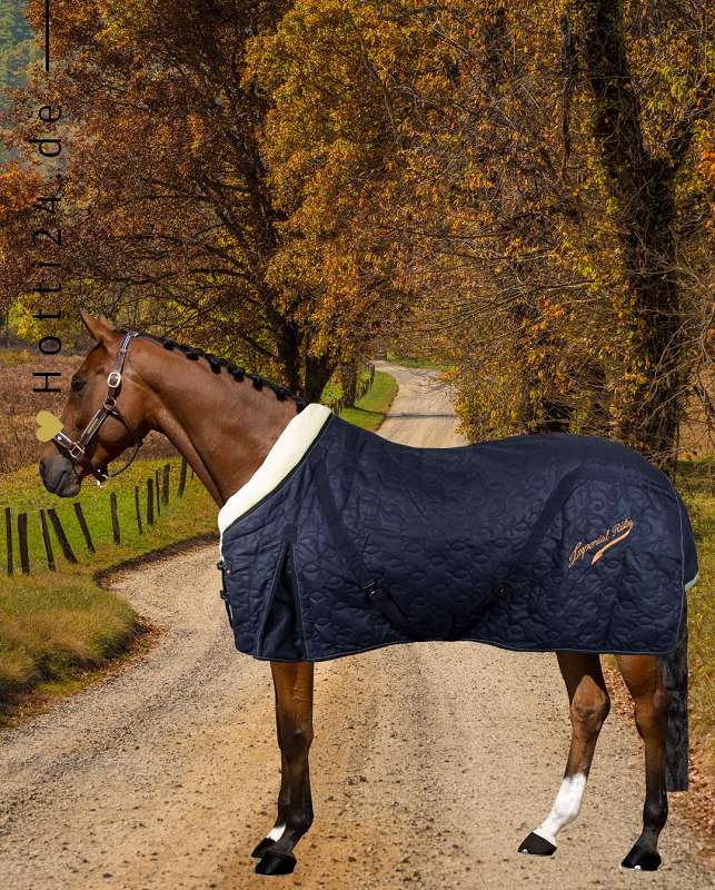 Die Imperial Riding Stalldecke "Super Dry" in Marineblau mit der Artikelnummer DE303210005001 ist bei www.Hotti24.de erhältlich. Diese Stalldecke von Imperial Riding bietet Ihrem Pferd Schutz und Komfort während seiner Stallzeit. Die marineblaue Farbe verleiht der Decke ein klassisches Aussehen und sie ist aus hochwertigen Materialien gefertigt, die für Strapazierfähigkeit und Langlebigkeit sorgen. Besuchen Sie www.Hotti24.de, um weitere Informationen über diese Stalldecke zu erhalten oder sie zu erwerben.
